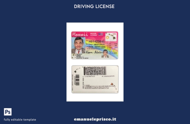 verified style stile verificato modello presente patente di guida USA Hawaii template